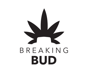 Logo Design by JKennedydesign