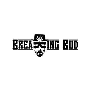 Design de Logo par emptyboxgraphics pour ce projet | Design : #30326267
