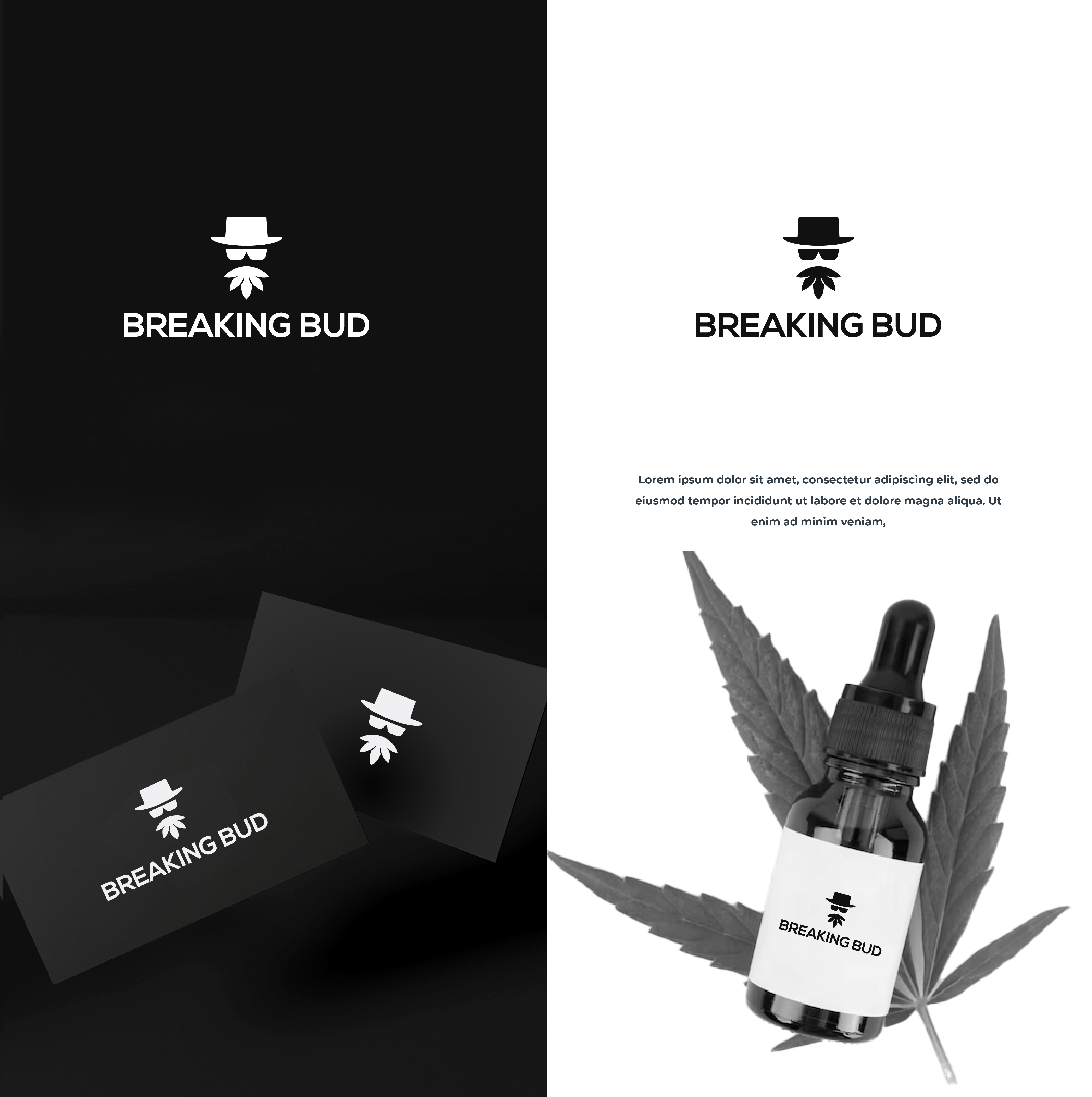 Logo Design by victipedia for this project | Design: #30349393