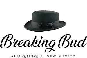 Logo Design by Blake Andujar Design for this project | Design #30325448