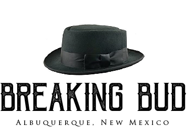 Logo Design by Blake Andujar Design for this project | Design #30325683