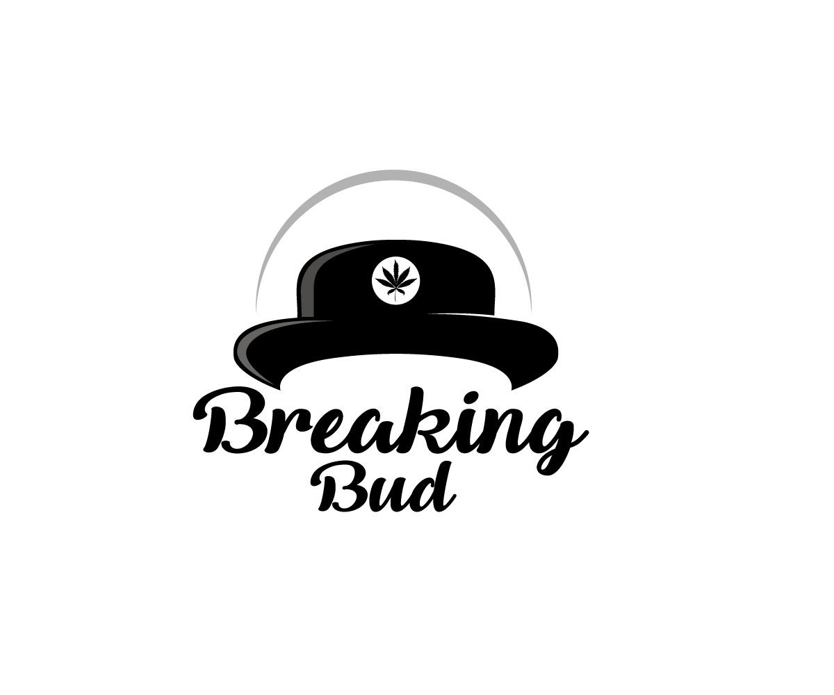 Logo Design by Ansh Design for this project | Design #30324717