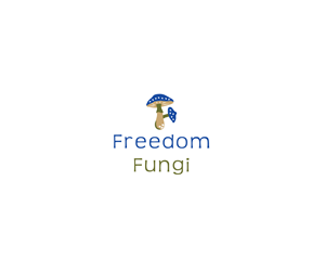 Design Image