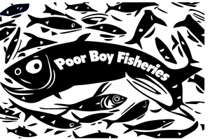 Logo Design by eboy