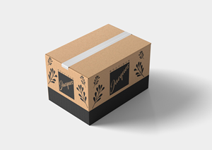 Packaging Design by Tech Nova for this project | Design: #30353898