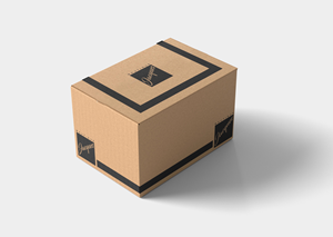 Packaging Design by Tech Nova for this project | Design: #30360781