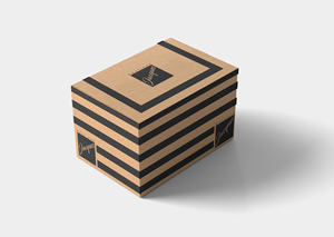 Packaging Design by Tech Nova for this project | Design: #30360787