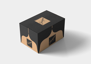 Packaging Design by Tech Nova for this project | Design: #30368335