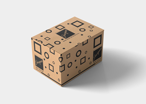 Packaging Design by Tech Nova for this project | Design: #30381636