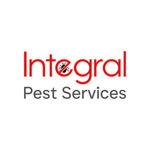 Logo Design by bogglins