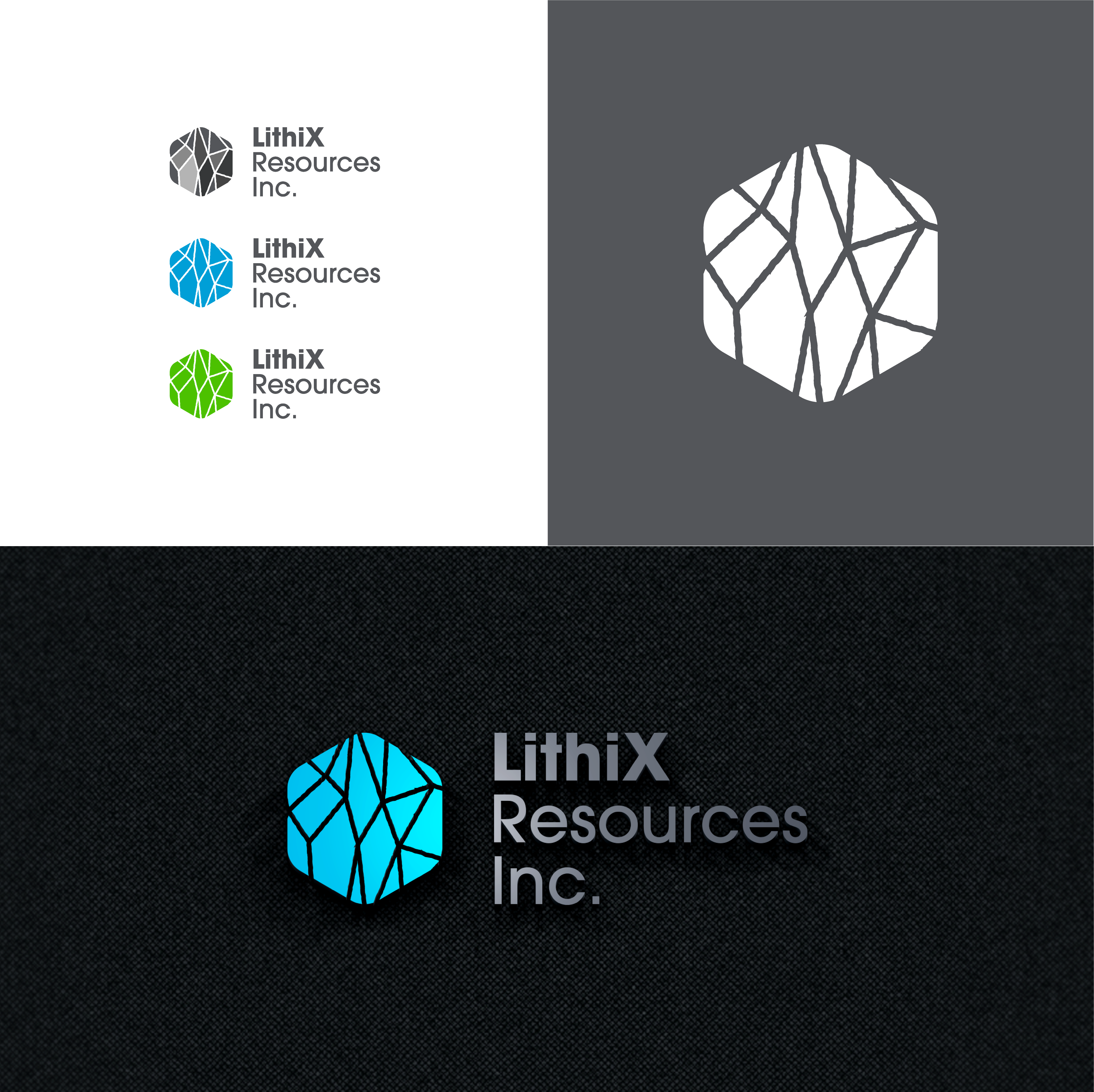 Design de Logo par The Lion Studios pour ce projet | Design #30364090