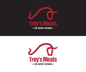 Logo Design by Usman Ali 13