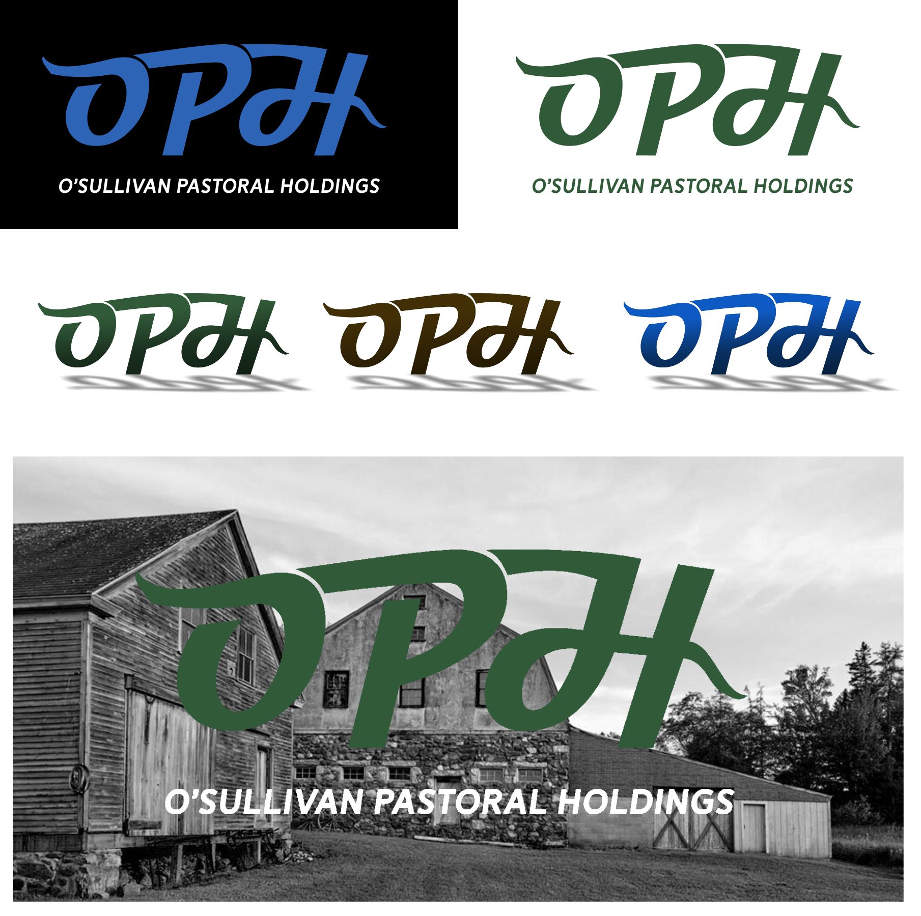 Logo-Design von Necro.stage für O'Sullivan Pastoral Holdings | Design #30378497