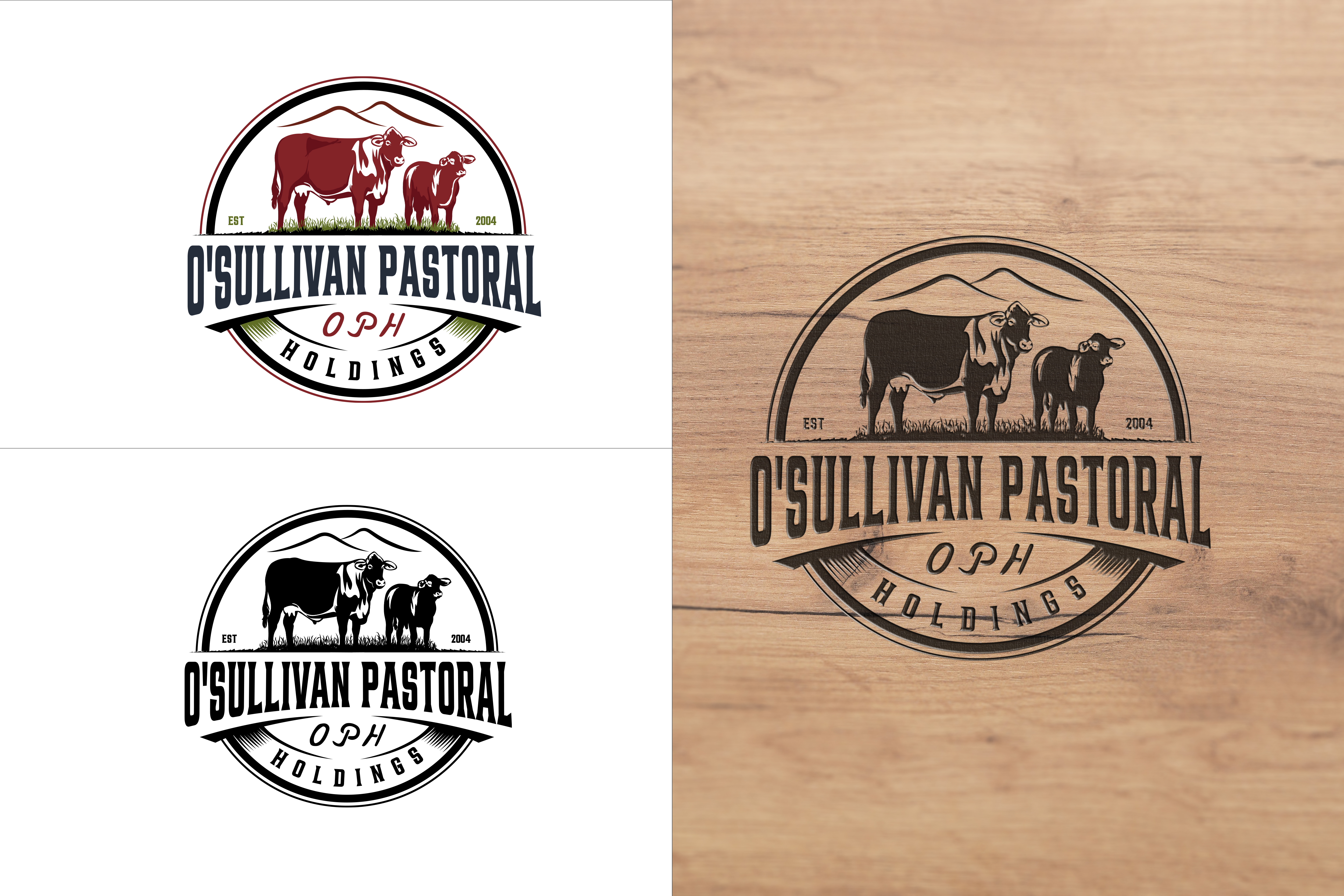 Logo Design by Solarex Corporation for O'Sullivan Pastoral Holdings | Design #30503885