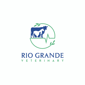 Logo Design by Ashani Bhattacharya for this project | Design #30390231