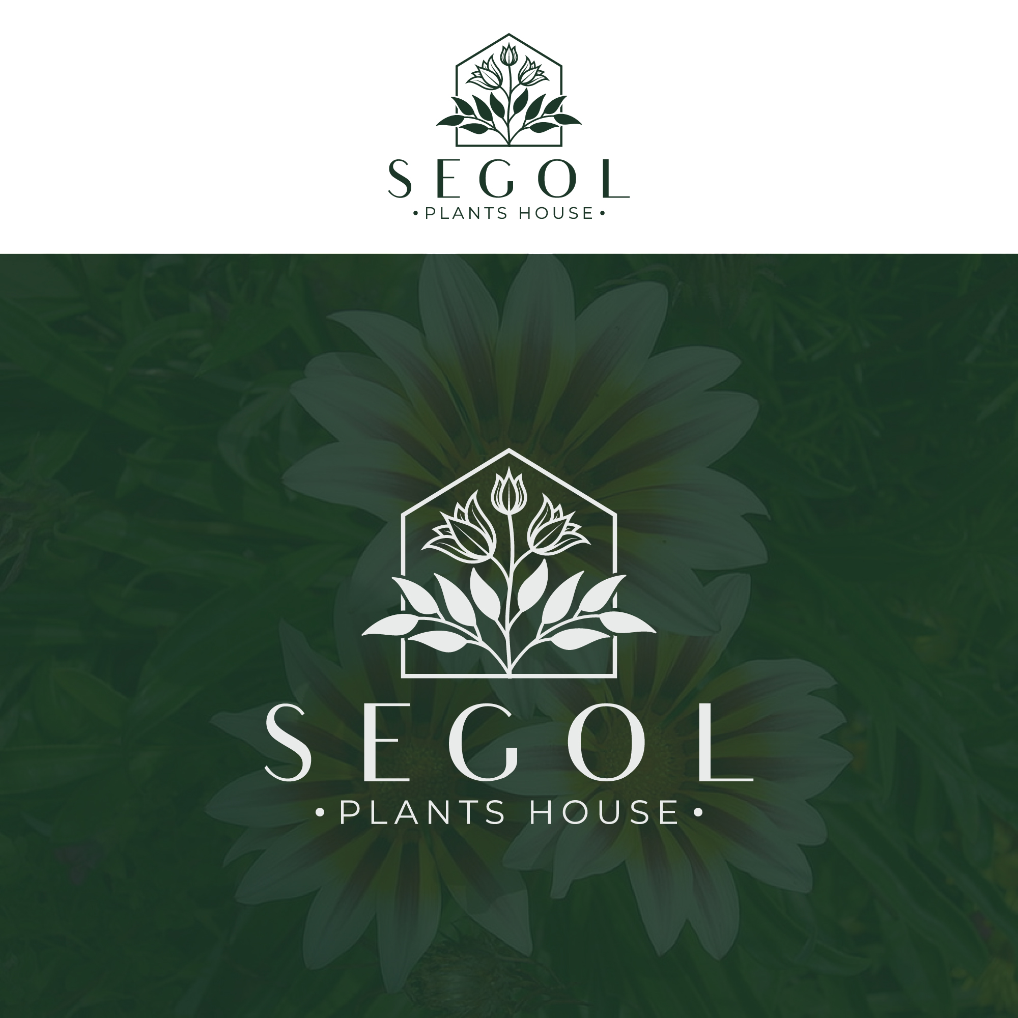 Logo Design by Anderwork for this project | Design #30374726