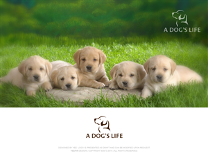 Logo Design by Benjamin for this project | Design: #3102356