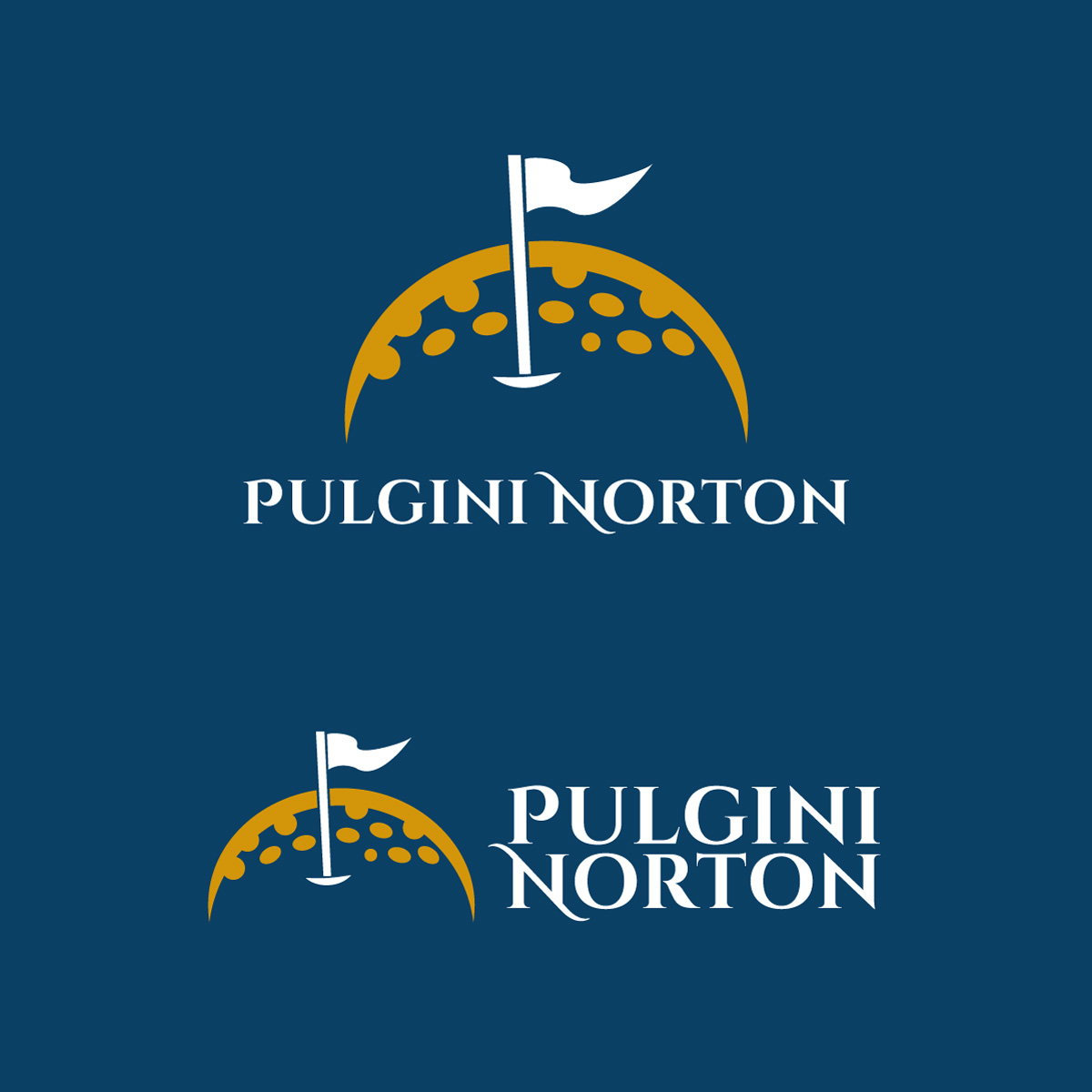 {0} by {1} for this project | Design #{2}[FORMAT EXCEPTION]