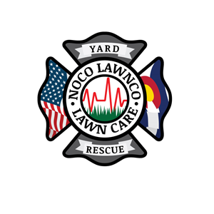 Logo Design by Roland C