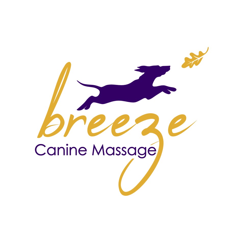 Logo Design by rgb01 for this project | Design #30663662
