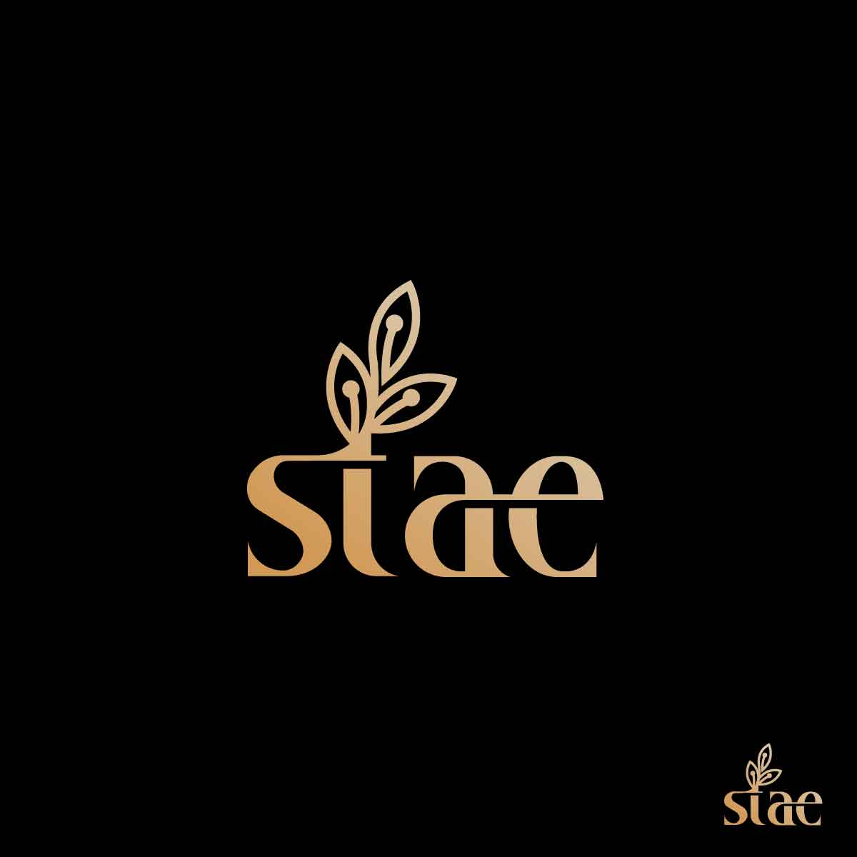 Logo Design by fly  design for this project | Design #30397482