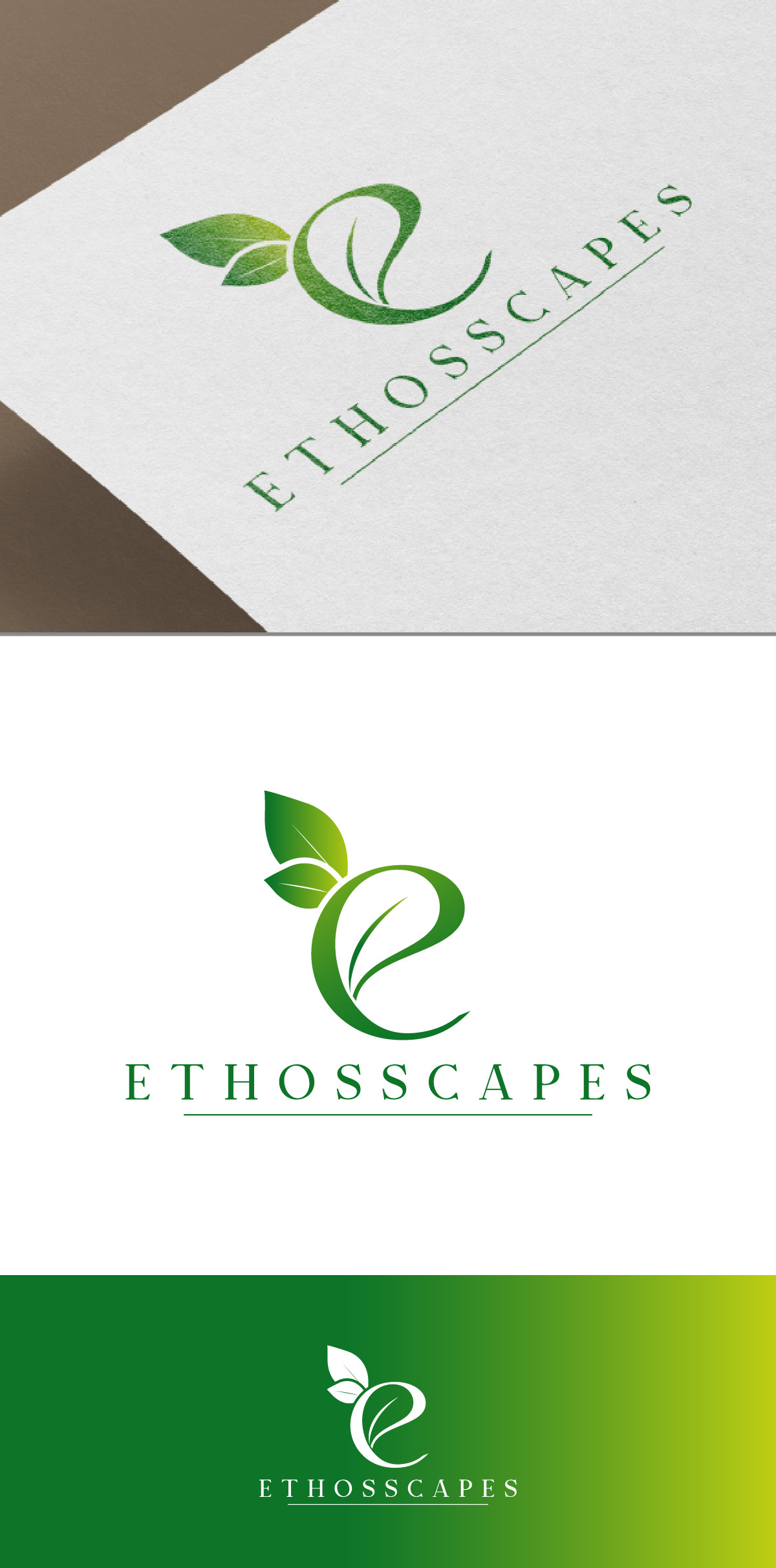 Logo Design by fly  design for this project | Design #30397178