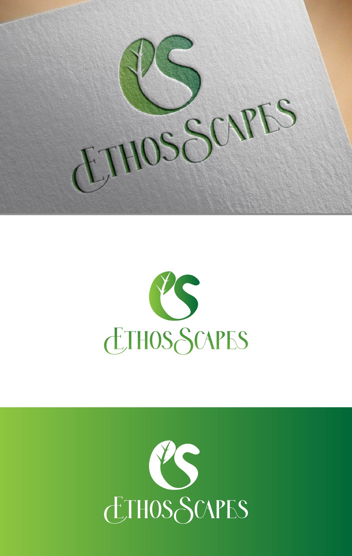 Logo Design by fly  design for this project | Design #30397272