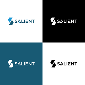 Logo Design by Afaq_Graphics