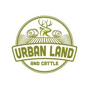 Logo Design by Devandra