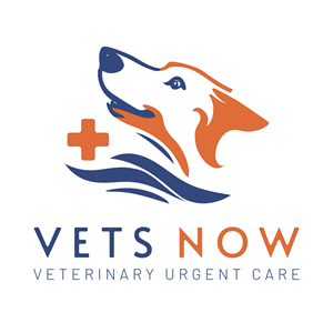 Logo Design by TVEX