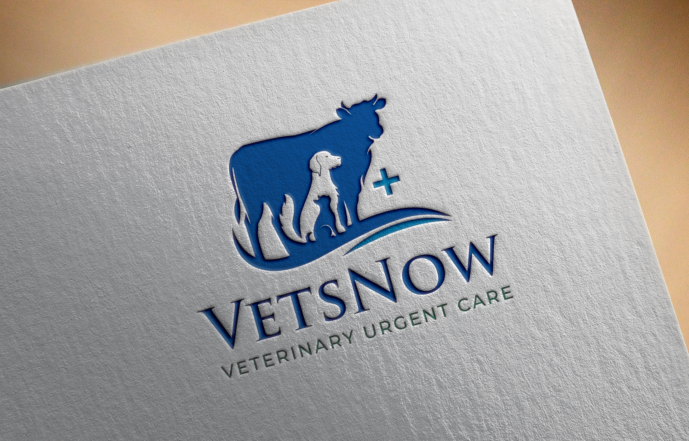Logo Design by Graphixpointt for VetsNow Veterinary Urgent Care | Design #30399935