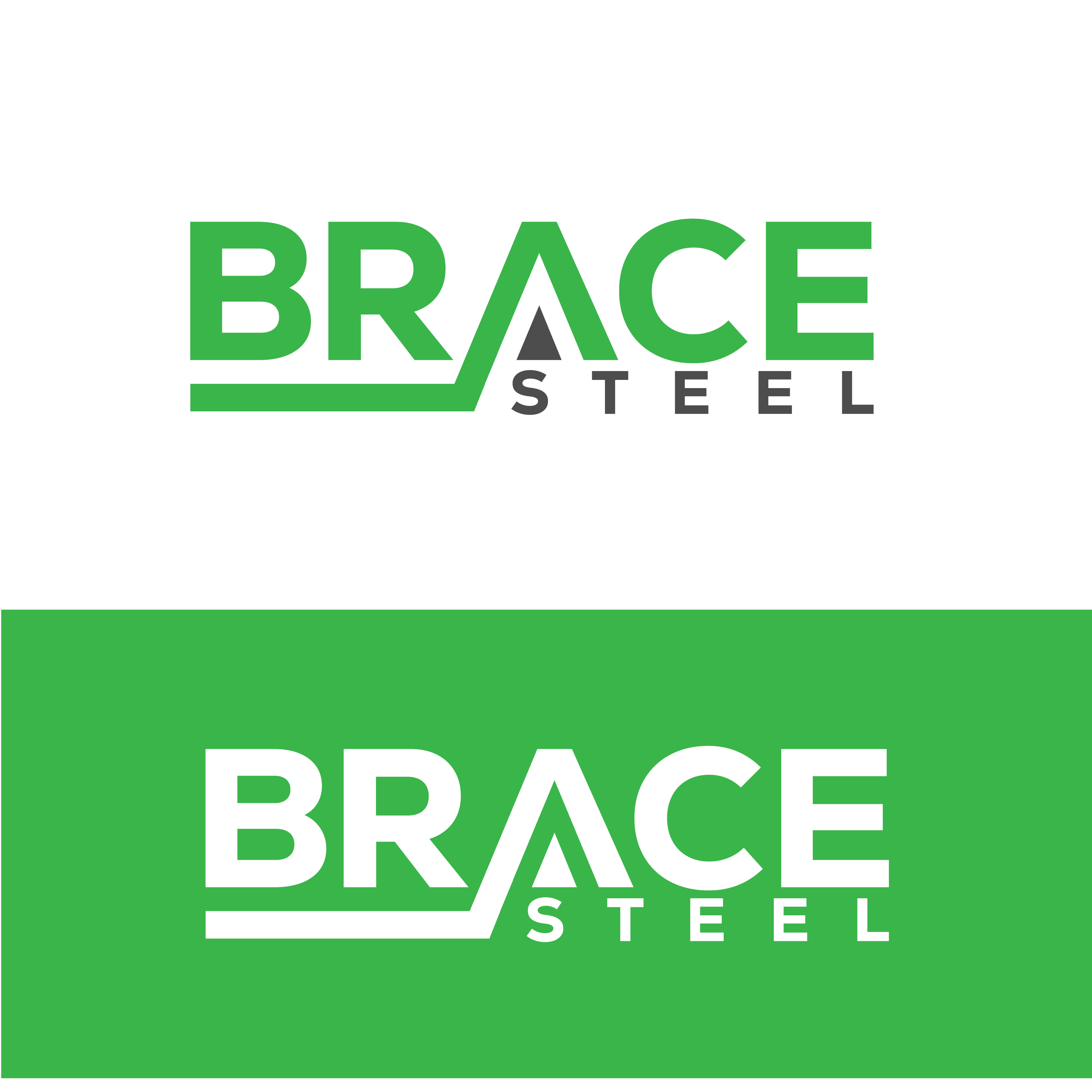 Diseño de Logo por Raton2010 para este proyecto | Diseño #30400025