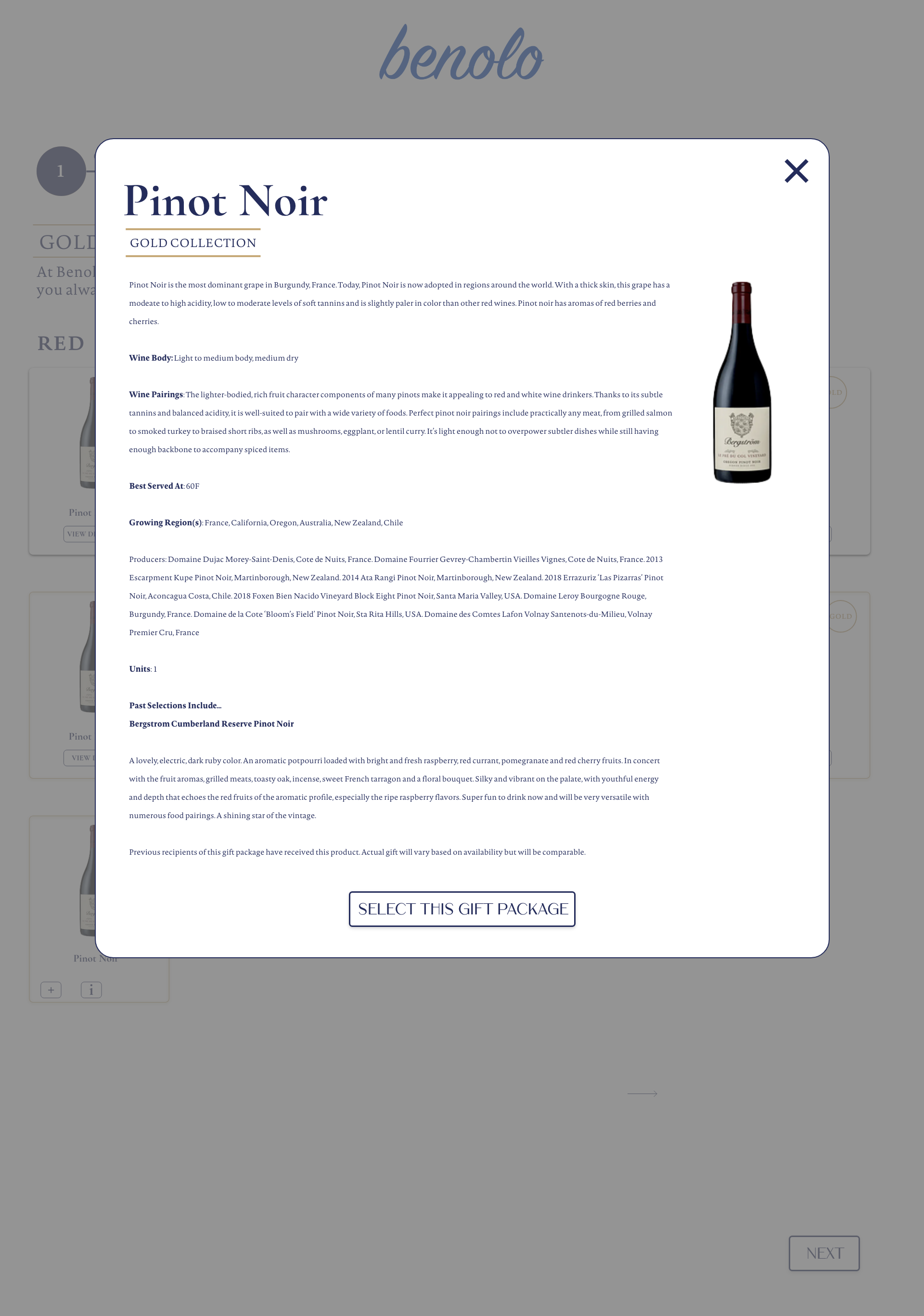 Web Design by Pamela Mannino and Scott Bonas for Benolo | Design #30430649