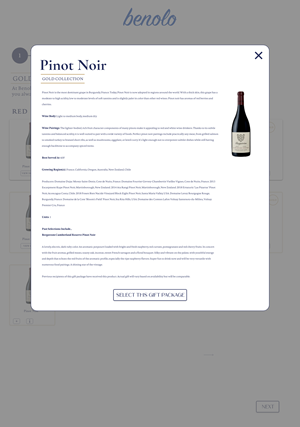 Web Design by Pamela Mannino and Scott Bonas for Benolo | Design: #30430649