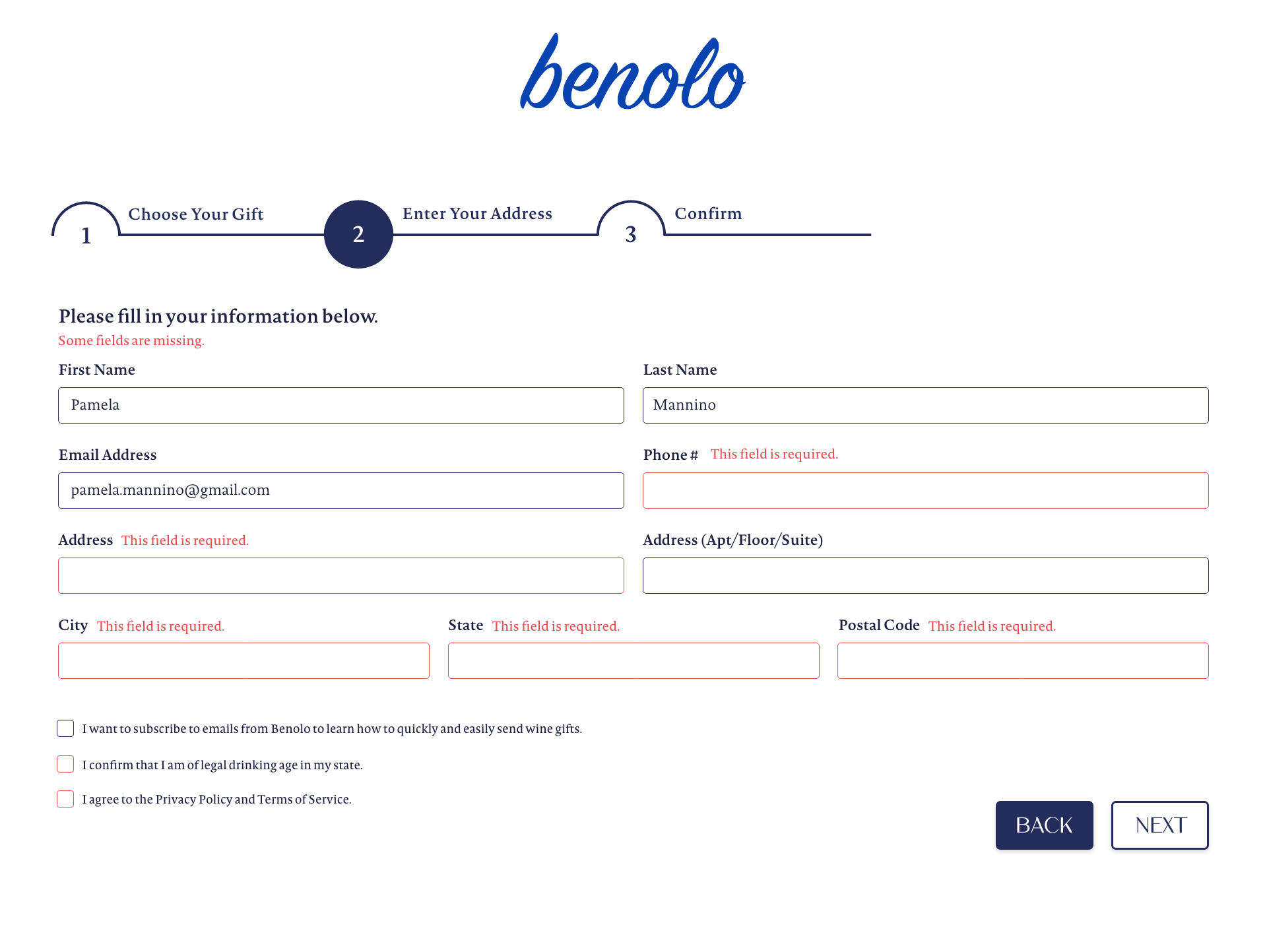 Web Design by Pamela Mannino and Scott Bonas for Benolo | Design #30430685