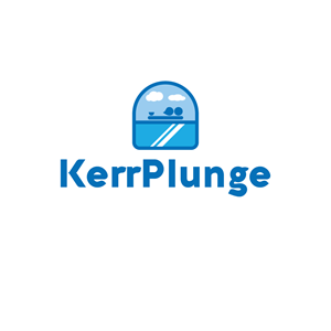 Logo Design by Tamerito