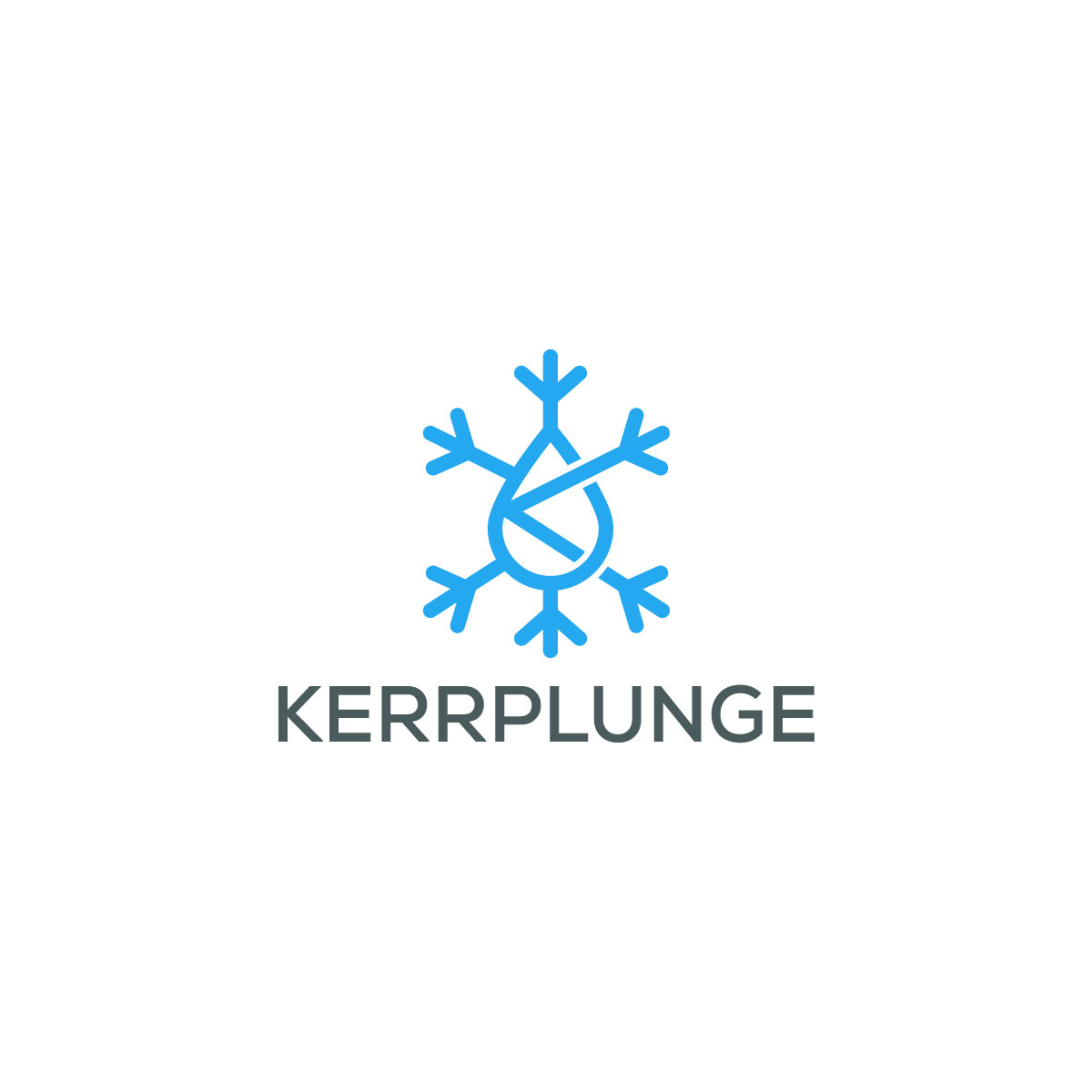 Logo Design by LAXMI DESIGNHUB for this project | Design #30407516
