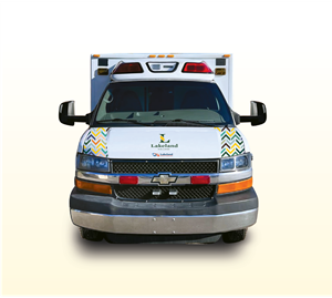 Car Wrap-Design von Dev moorthi Abeysekara für dieses Projekt | Design #30489601