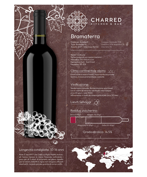 Infographic Design by Carmem Freire