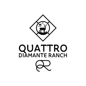 Logo Design by Solarex Corporation for this project | Design #30429898