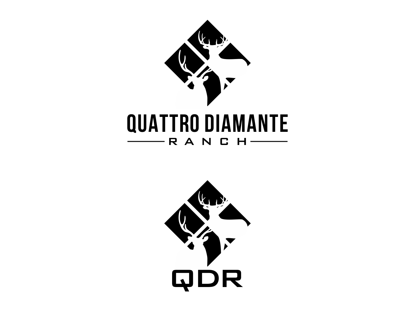 Diseño de Logo por BNdesigner para este proyecto | Diseño #30431497