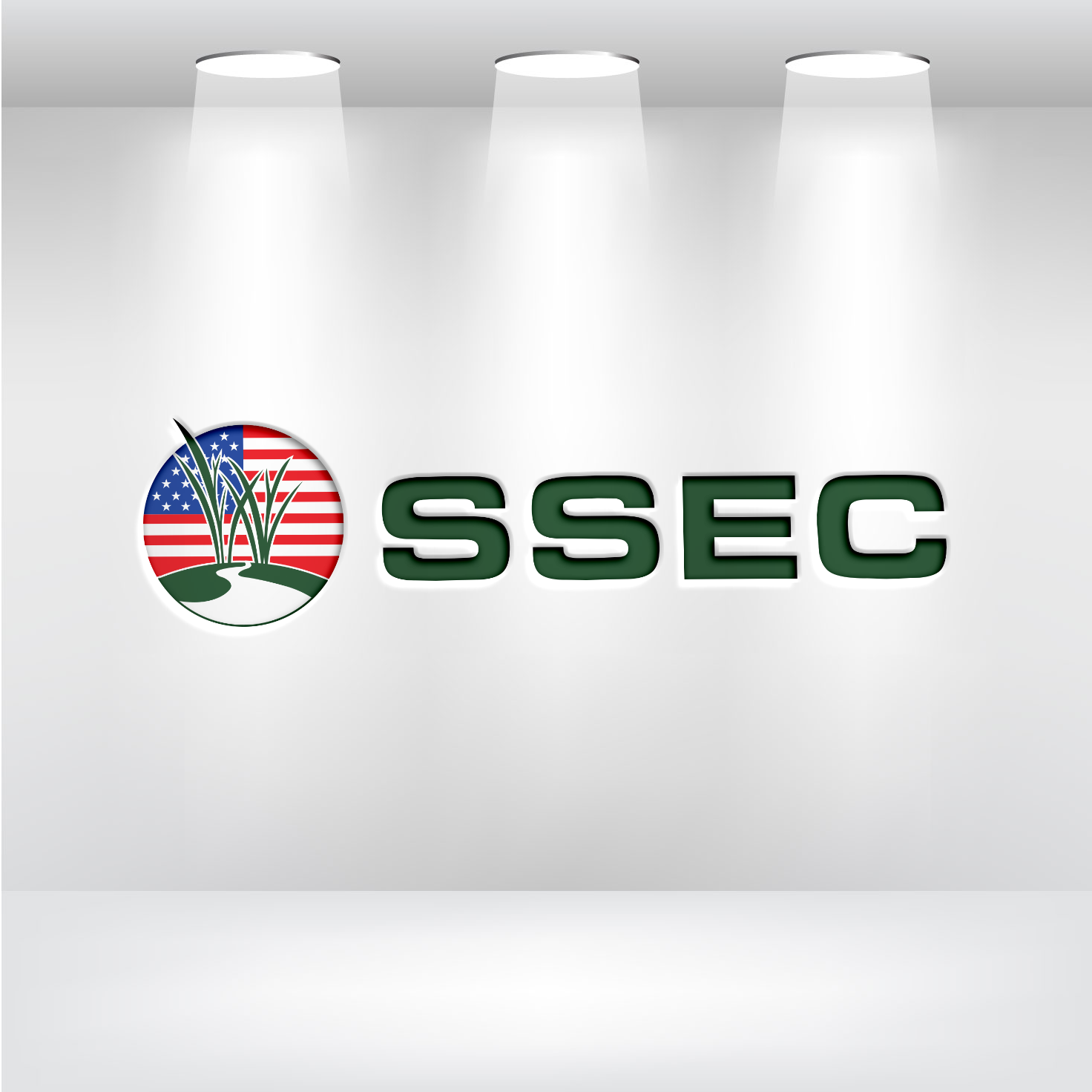 Logo Design by Graphixpointt for SSEC | Design #30421151