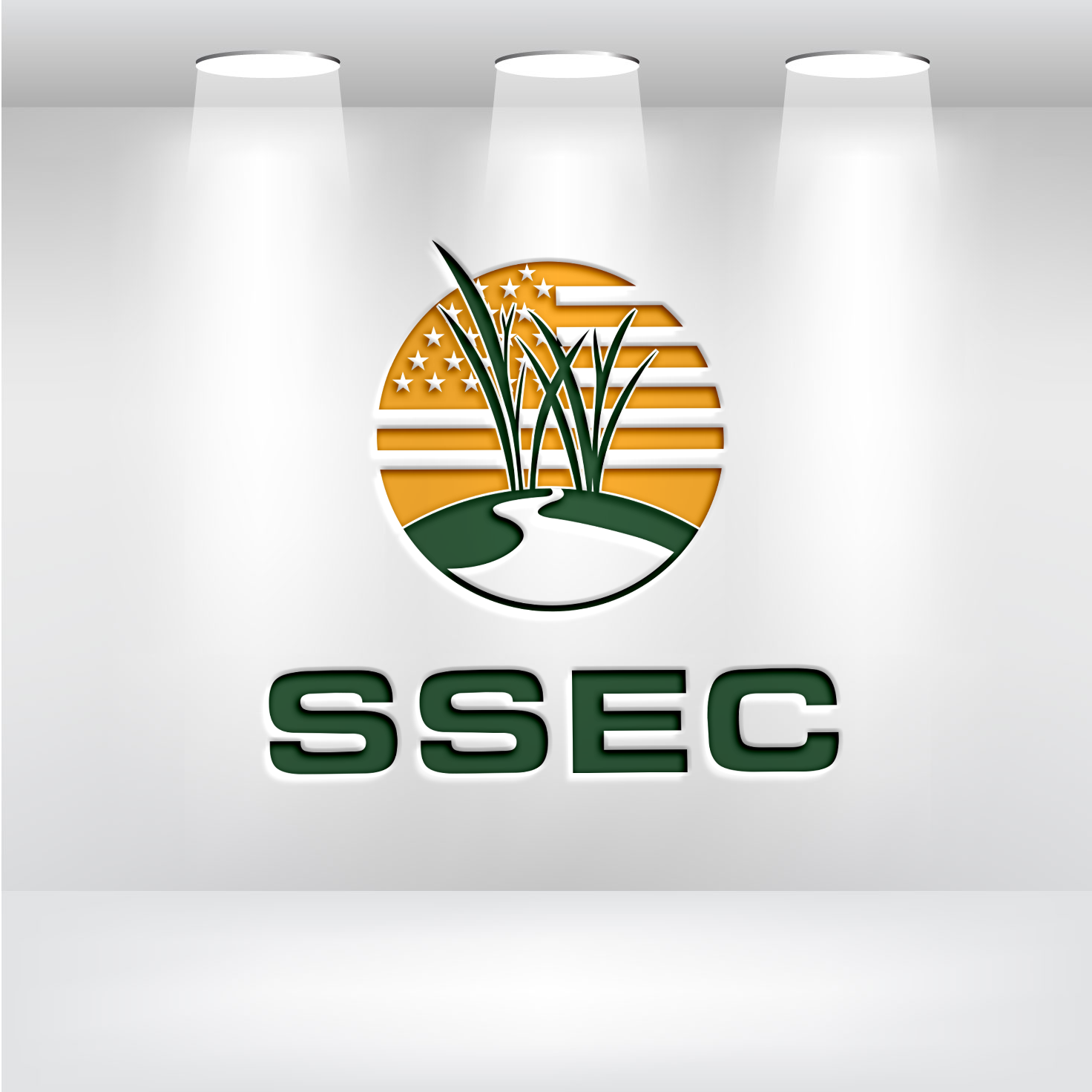 Logo Design by Graphixpointt for SSEC | Design #30421152