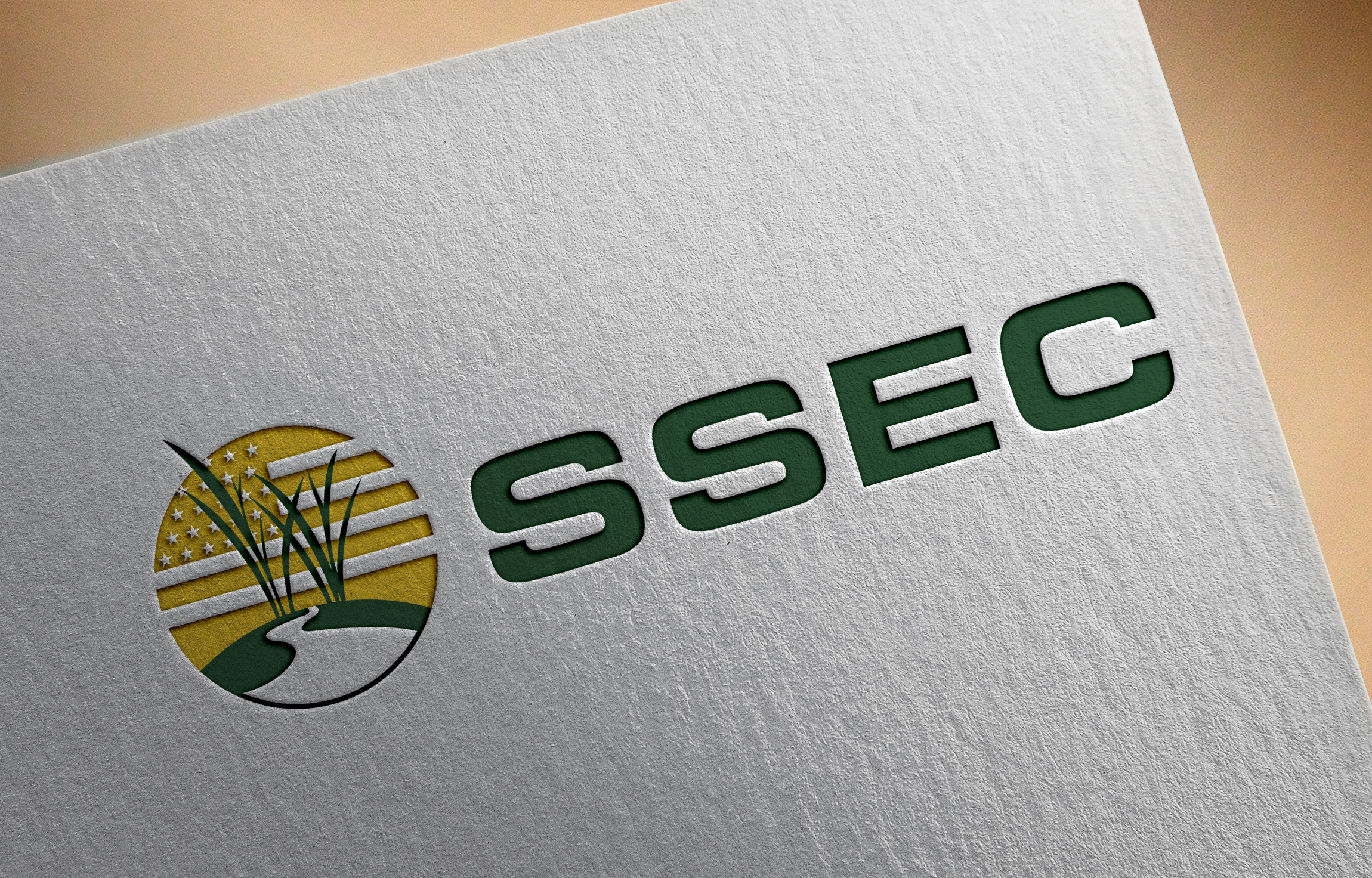 Logo Design by Graphixpointt for SSEC | Design: #30421191