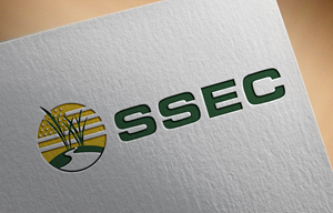 Logo Design by Graphixpointt