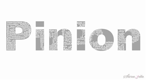Logo Design by Atelier de Lala for Pinion Education | Design: #3149895