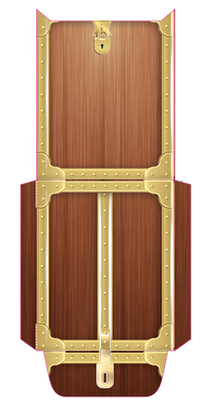 Decorative Envelope That Encases Package