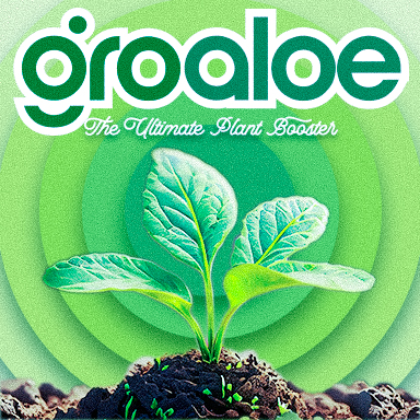 Diseño de Empaque por imma_makeit para DME | Diseño #30445304