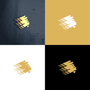 Logo Design by anonrotide for this project | Design #30463096