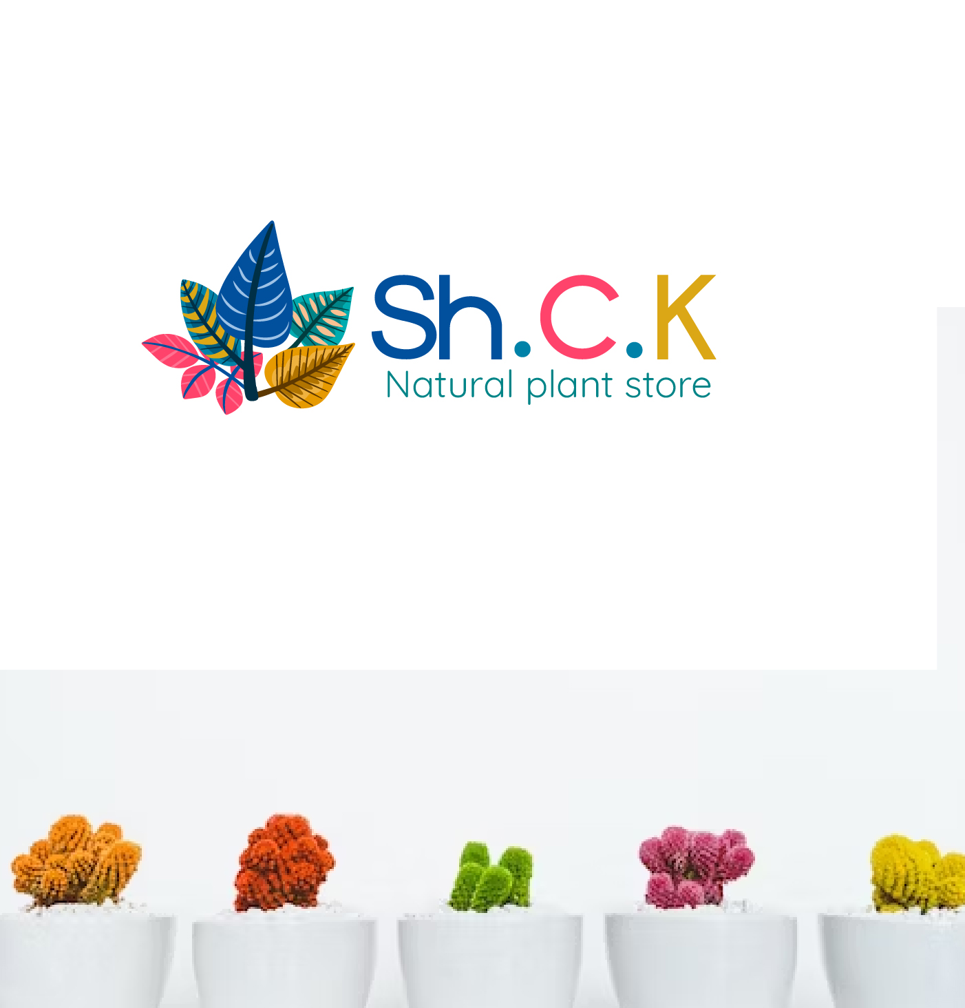 Graphic Design by eng.shaza for this project | Design #30429920